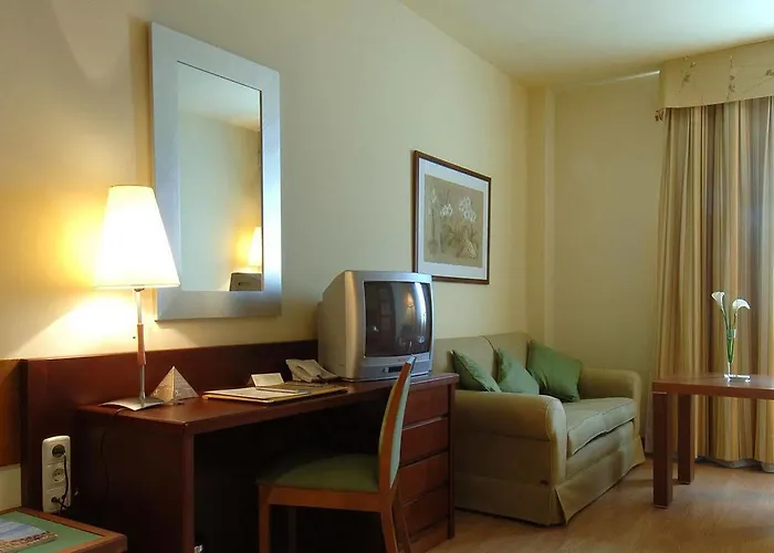 Hotel Sercotel Hmo Martina Granada