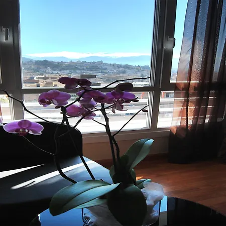 Hotel Sercotel Hmo Martina 4*